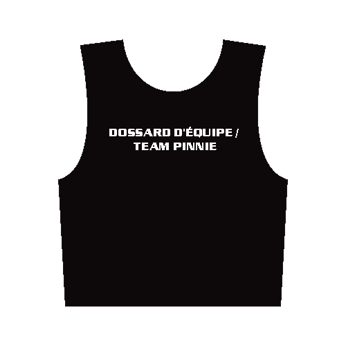 Soccer Pinnie