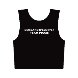 Basketball Pinnie
